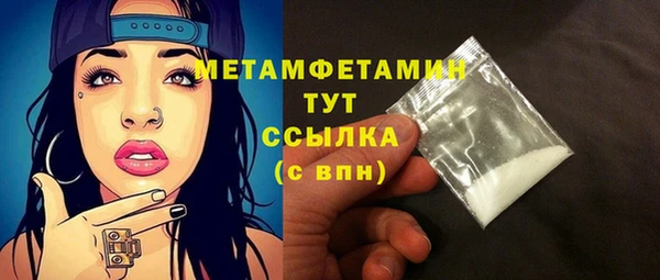прущие грибы Богданович