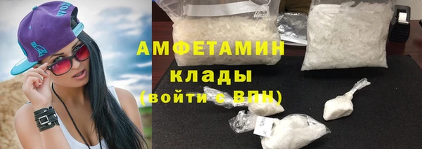 прущие грибы Богданович