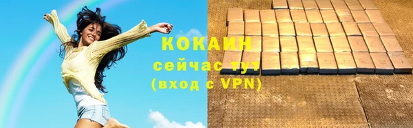 шишки Рославль