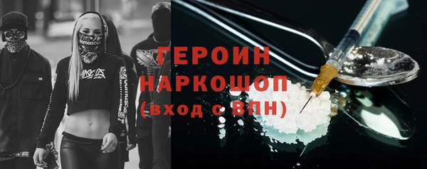 прущие грибы Богданович