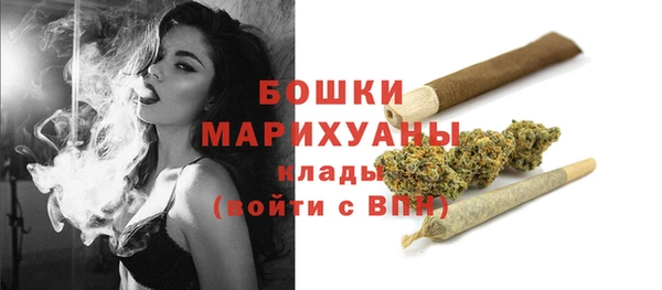 прущие грибы Богданович