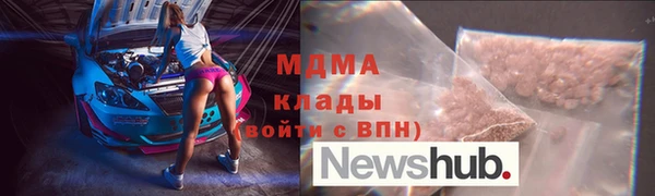 прущие грибы Богданович