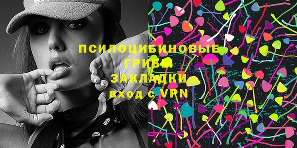 прущие грибы Богданович
