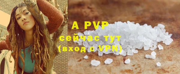 прущие грибы Богданович