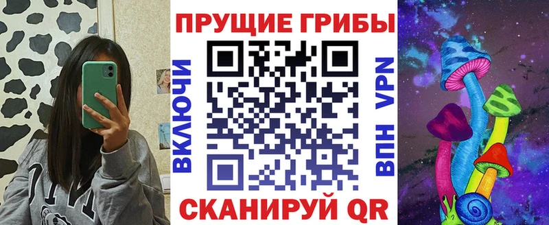 KRAKEN маркетплейс  Светогорск  Галлюциногенные грибы Magic Shrooms  цена  